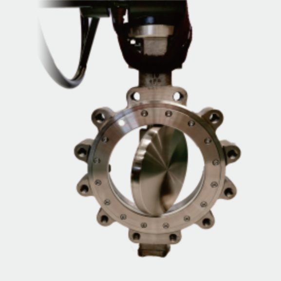 butterfly valve